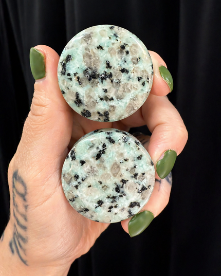 Kiwi Jasper Stone Double Flare Plugs/Gauges for Stretched Ears