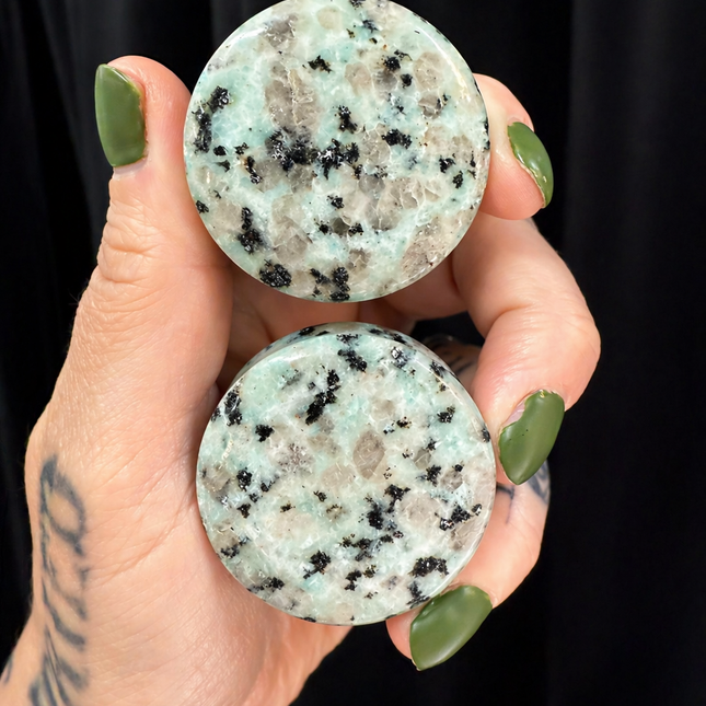 Kiwi Jasper Stone Double Flare Plugs/Gauges for Stretched Ears