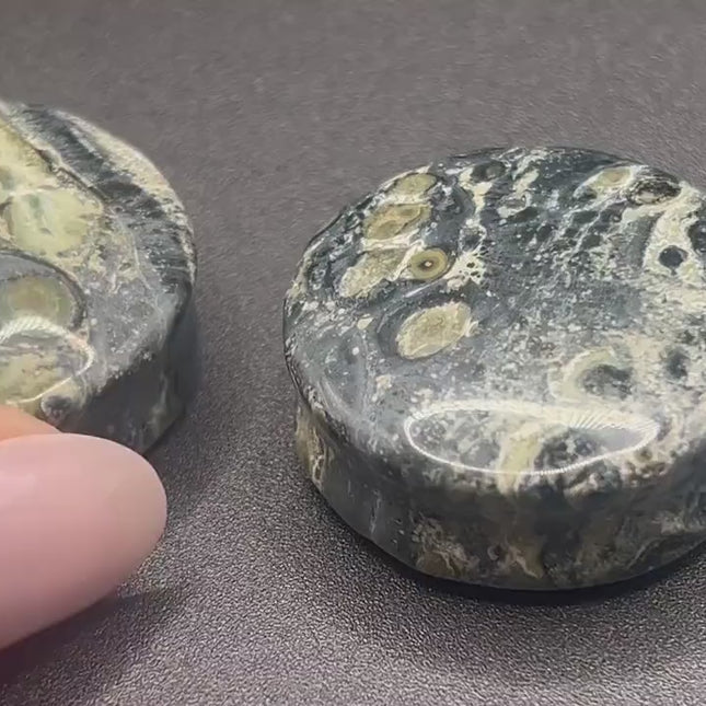 Green Eye Jasper Stone Plugs - Double Flare Organic Gauges Pair 3mm-32mm