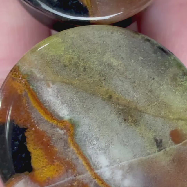 Polychrome Desert Jasper Double Flare Jewelry for Stretched Ears