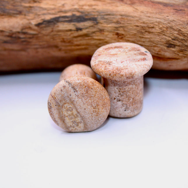 A beautifully earthy pair of Sandstone Single Flare Plugs rests on a soft, sunlit background. Each plug features warm tones of tan, ochre, and rusty red, with natural banding and subtle grain-like textures that resemble ancient desert landscapes or canyon walls. The surface is gently polished, revealing the stone’s organic patterns while maintaining its matte, grounded feel. Designed with a single flare and paired with secure O-rings, these plugs offer comfort and style with a raw, natural edge. 