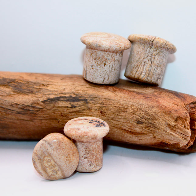 A beautifully earthy pair of Sandstone Single Flare Plugs rests on a soft, sunlit background. Each plug features warm tones of tan, ochre, and rusty red, with natural banding and subtle grain-like textures that resemble ancient desert landscapes or canyon walls. The surface is gently polished, revealing the stone’s organic patterns while maintaining its matte, grounded feel. Designed with a single flare and paired with secure O-rings, these plugs offer comfort and style with a raw, natural edge.